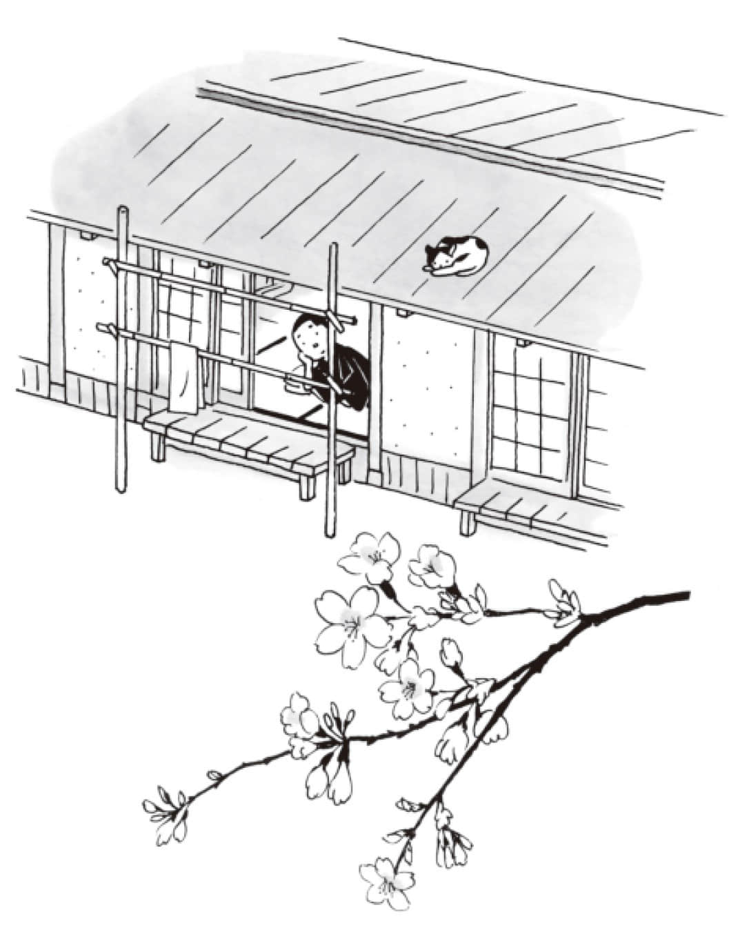 落樱缤纷小说插图（6）