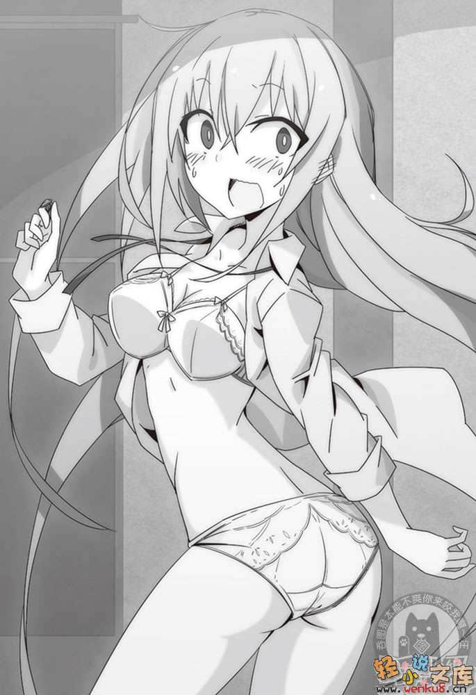 伪恶之王小说插图（22）
