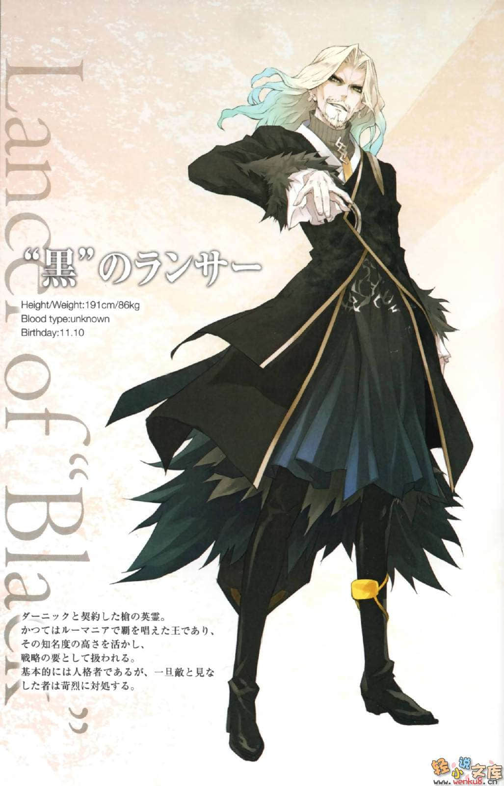 Fate Apocrypha小说插图（22）