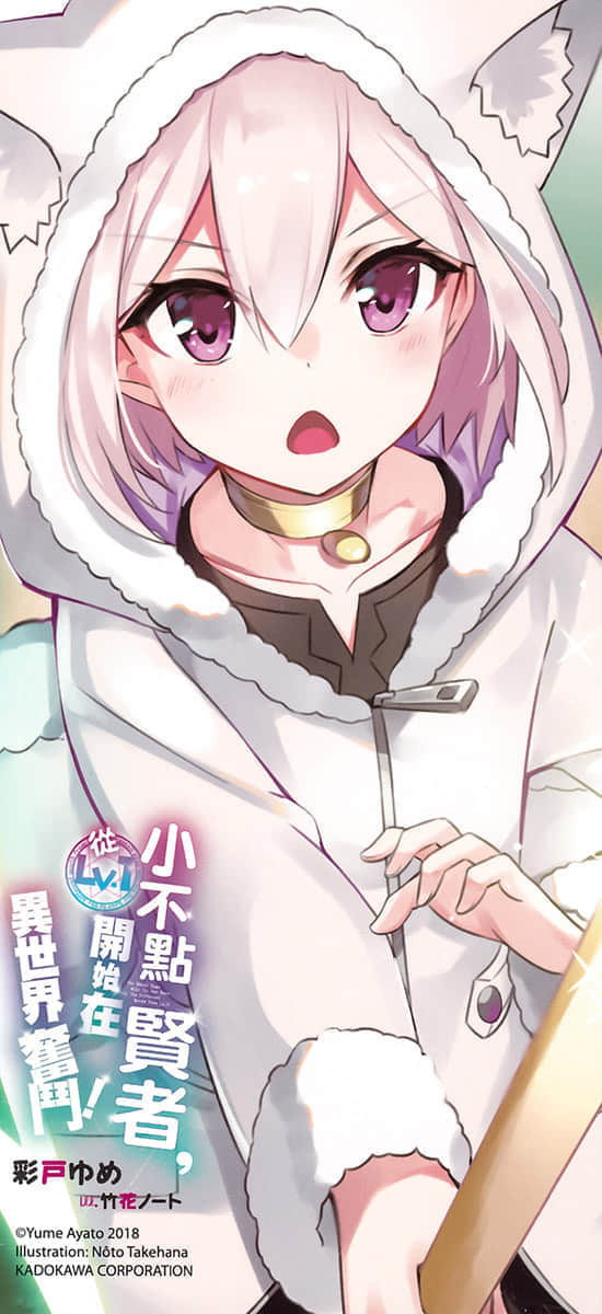 小不点贤者，从Lv.1开始在异世界奋斗！小说插图（17）
