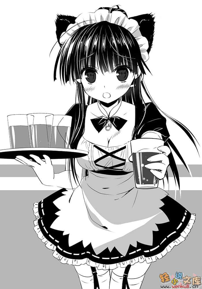 《召唤学园的魔术史学》3 插图（15）