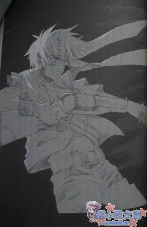 狂野历险 Alter code:F小说插图（21）