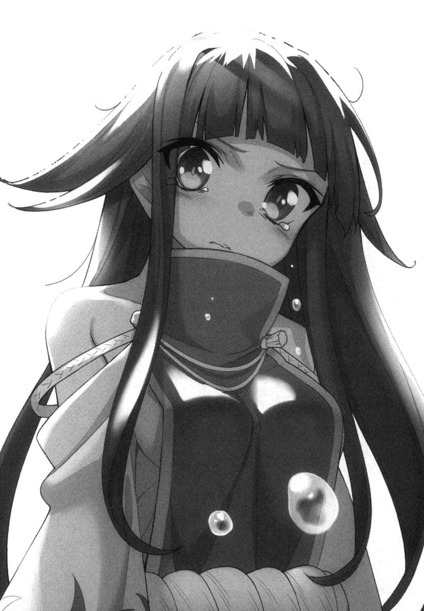 《百炼霸王与圣约女武神》19 插图(19)