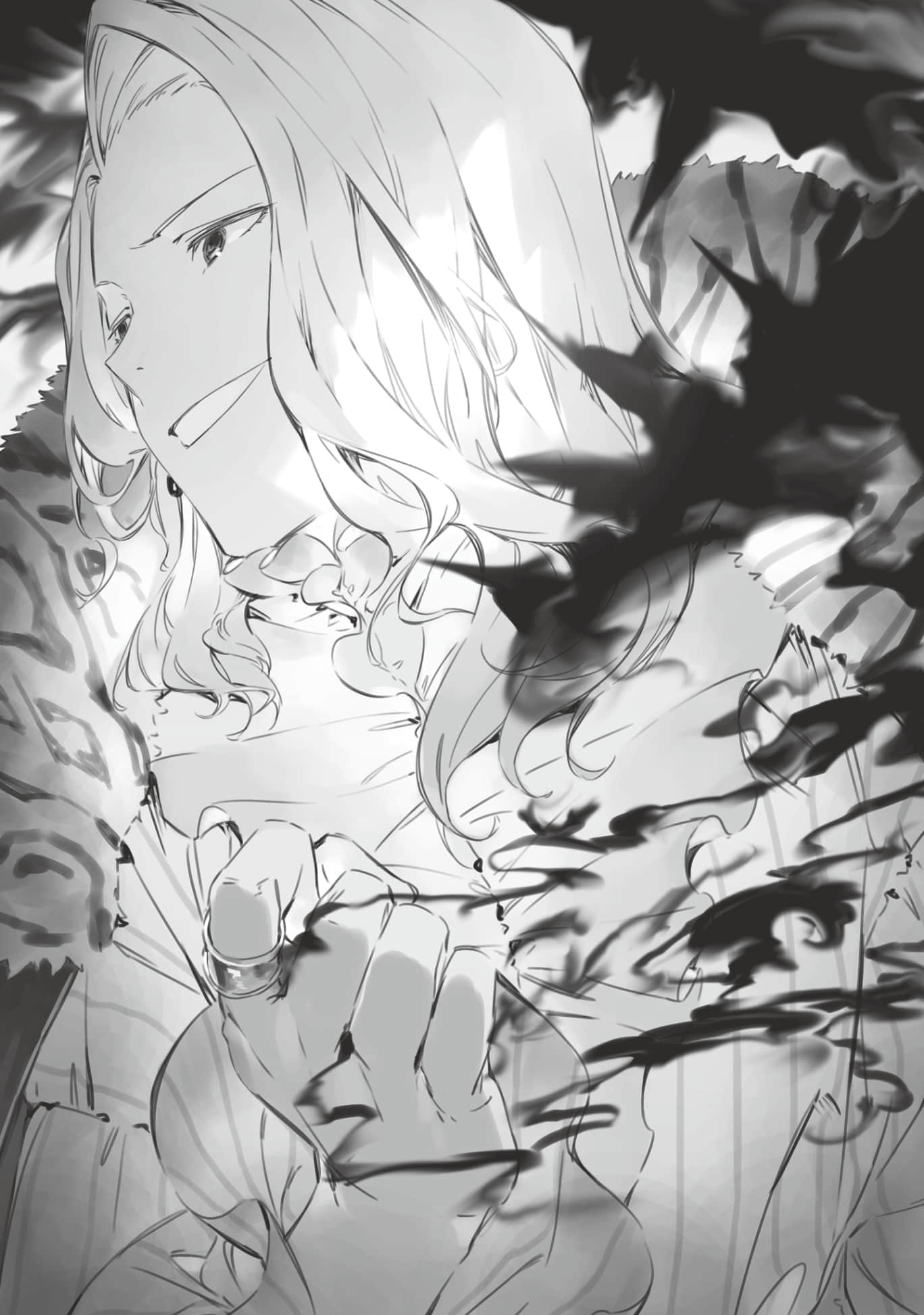 《被勇者队伍开除的驯兽师，邂逅最强种的猫耳少女》2 第三章 堕落的骑士团插图（2）