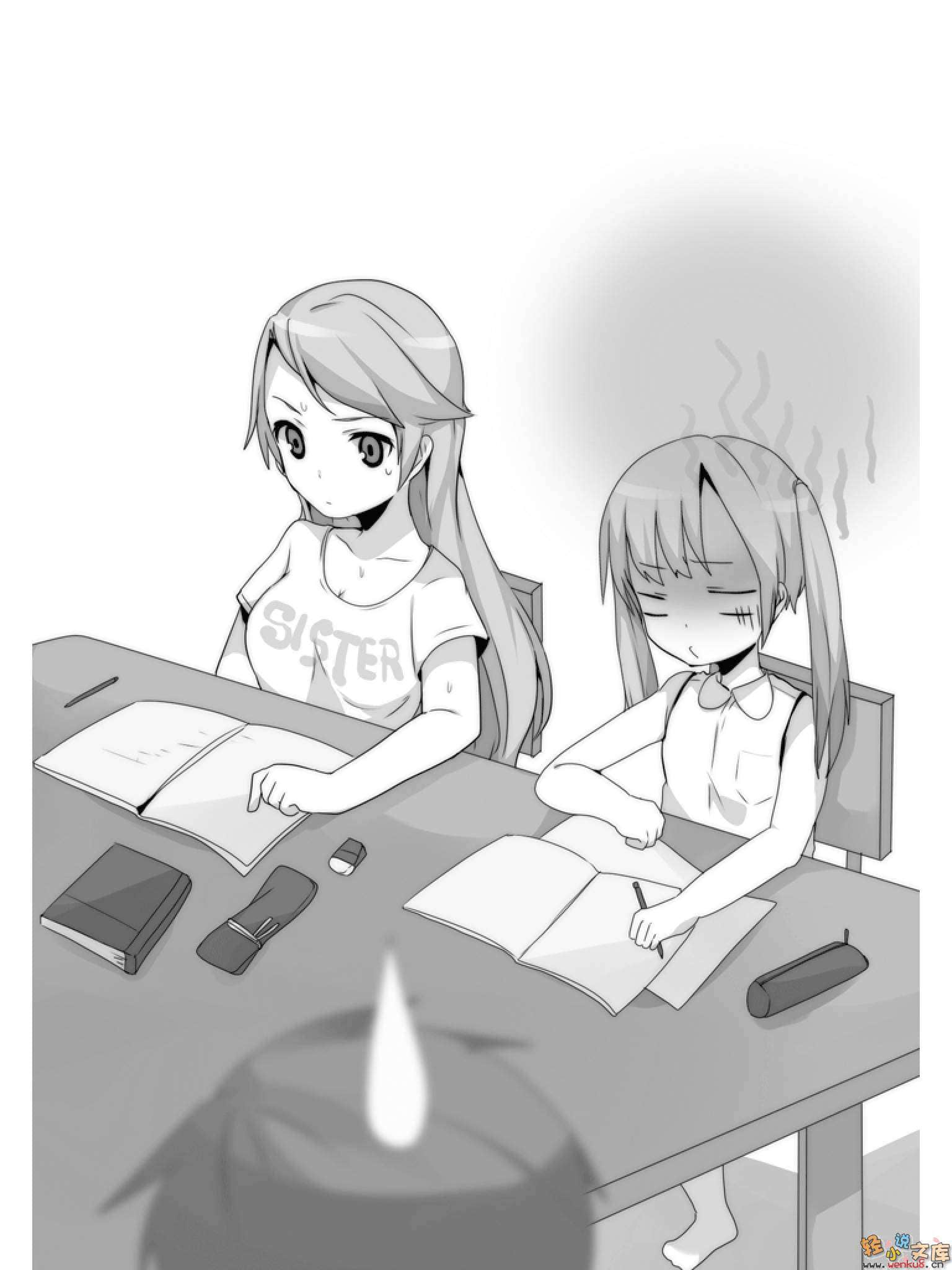 妹妹监护人小说插图（1）