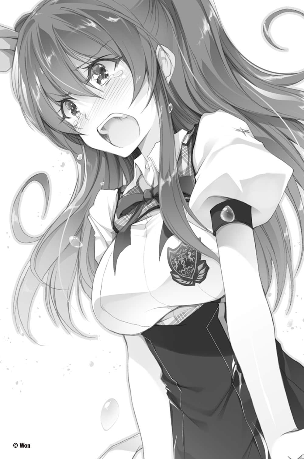 《落第骑士英雄谭》10 插图（15）