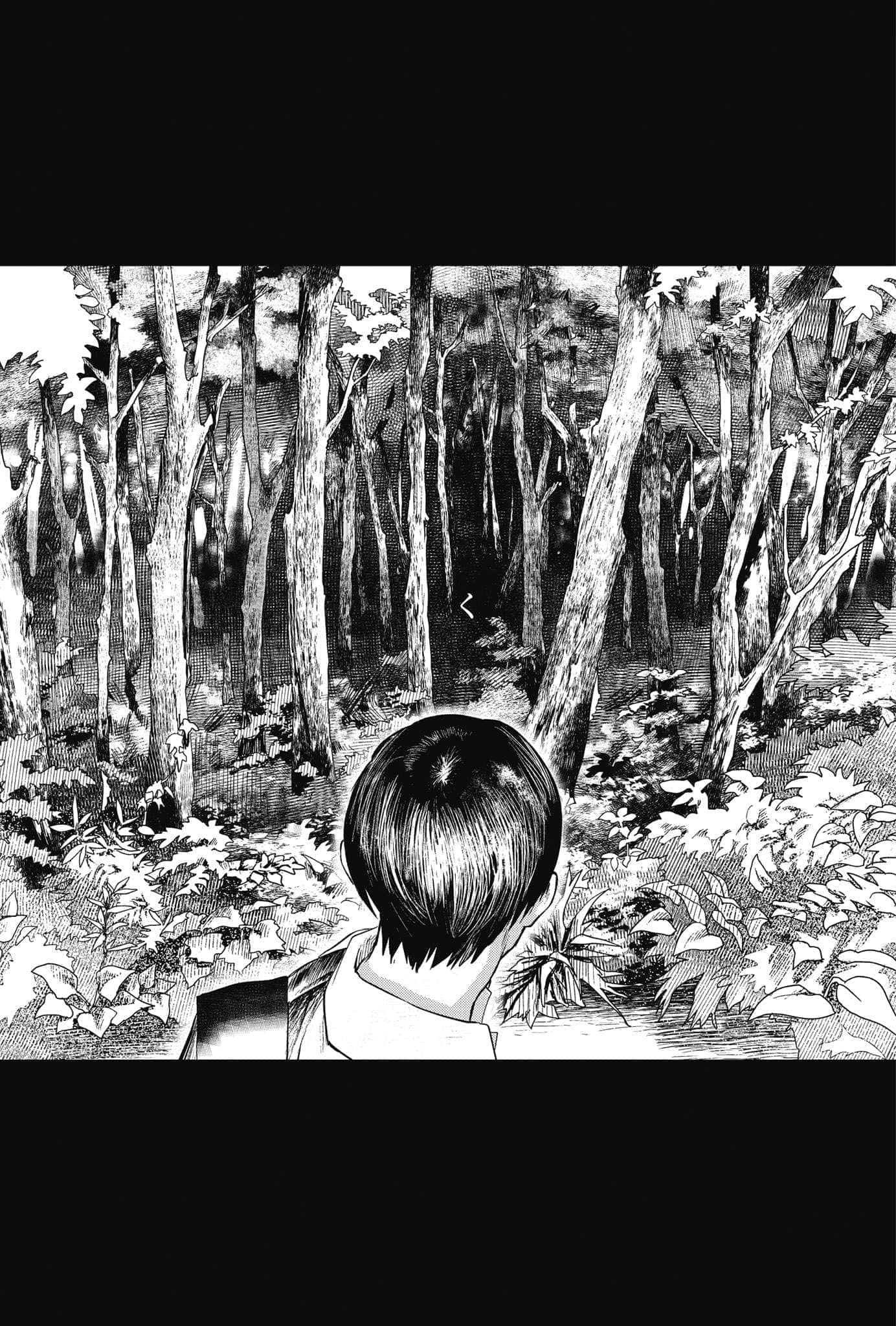 光逝去的夏天小说插图（11）