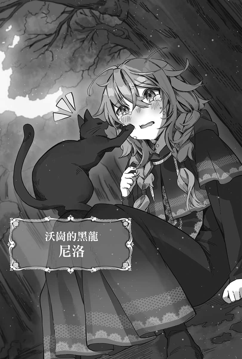 Silent Witch 沉默魔女的秘密小说插图（126）