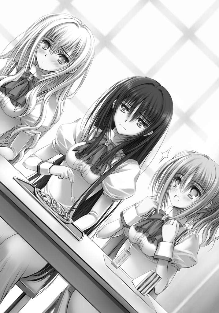 《少女爱上姐姐２》1 两位Elder Ⅴ.名为艾露达的少N插图（1）