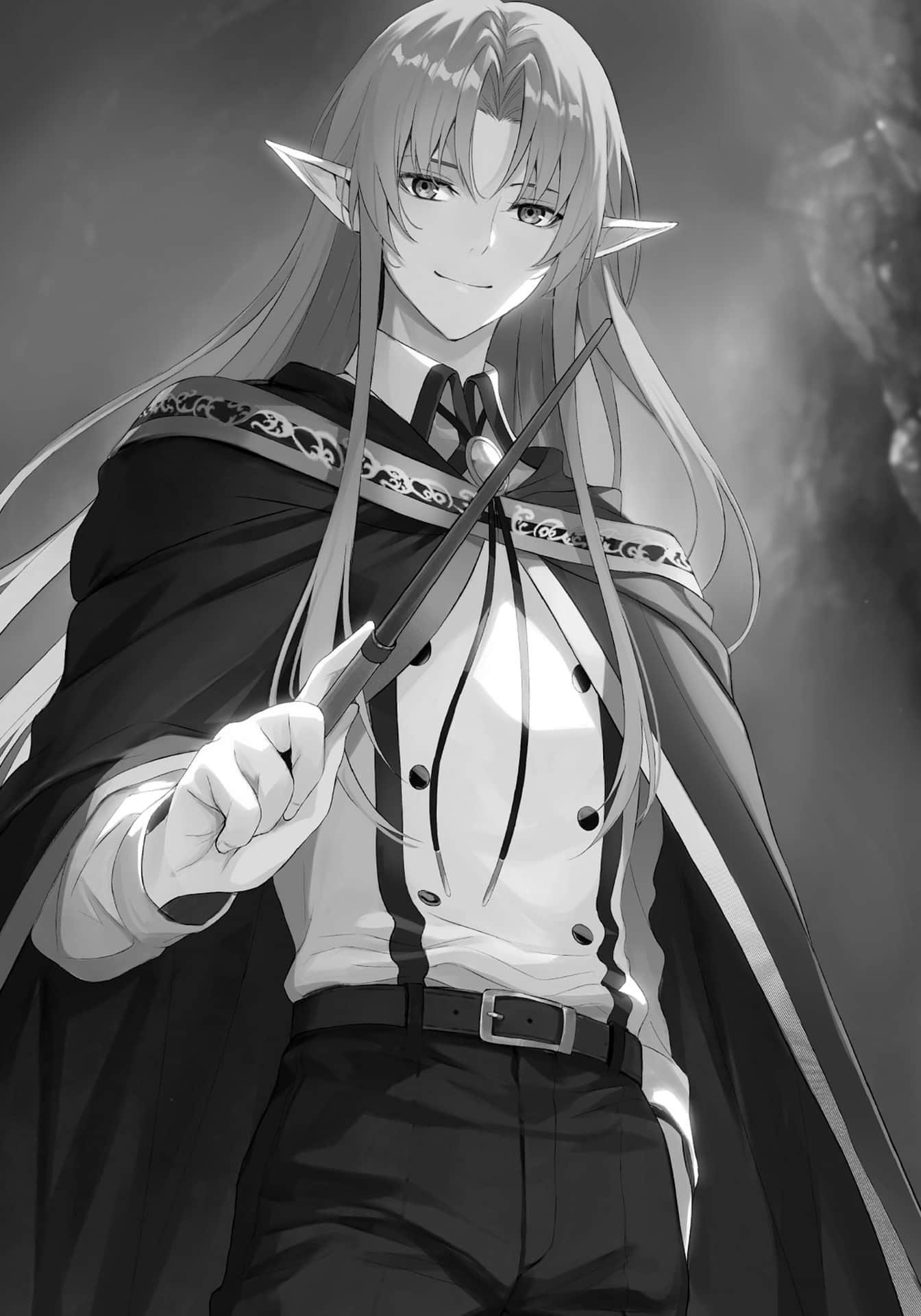 杖与剑的魔剑谭 引导之魔录书小说插图（39）