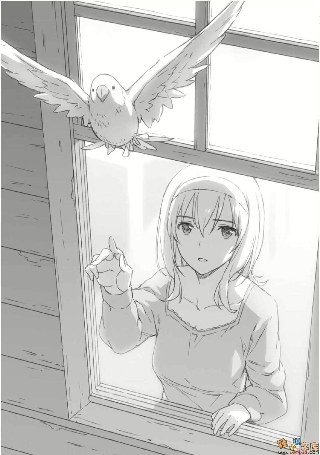 《与某飞行员的誓约》8 插图（11）