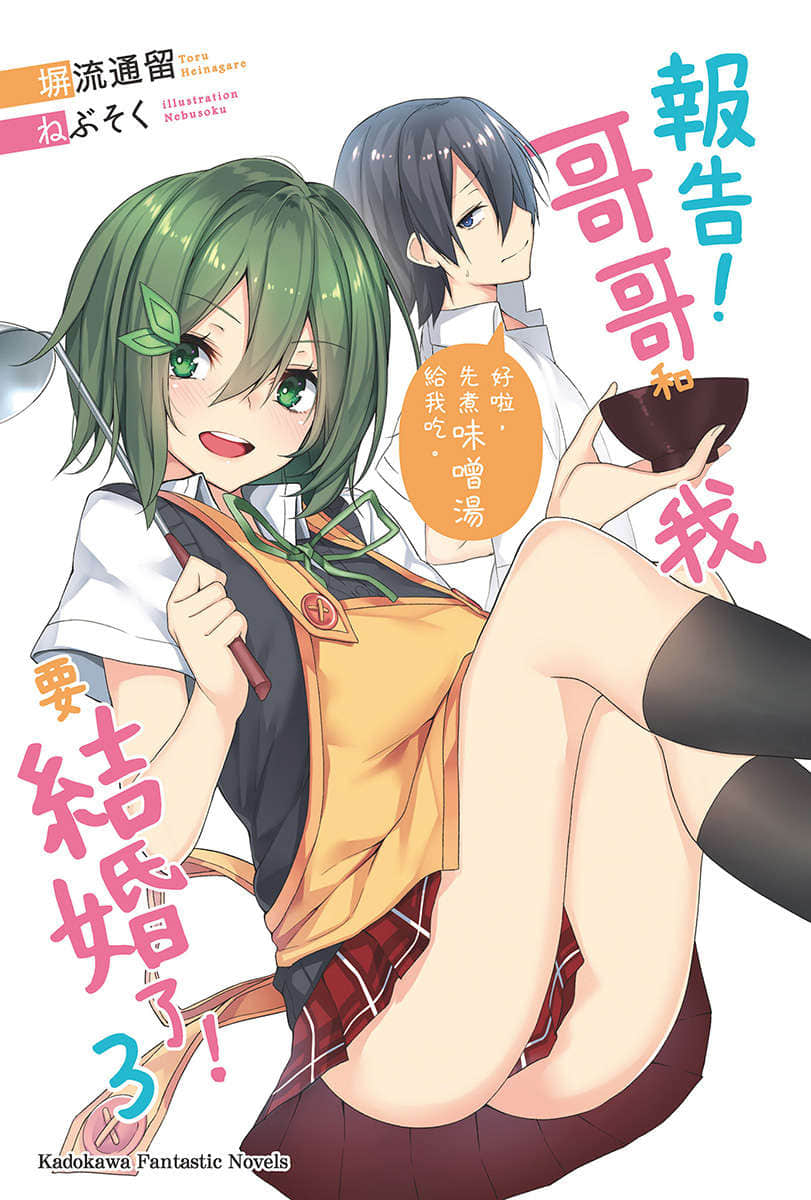 报告！哥哥和我要结婚了！小说插图（38）