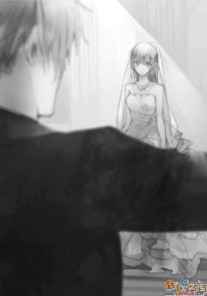 《黑色子弹》6 炼狱的彷惶者 插图（14）