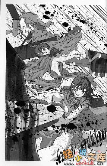 《白貌传道师》1 插图（16）