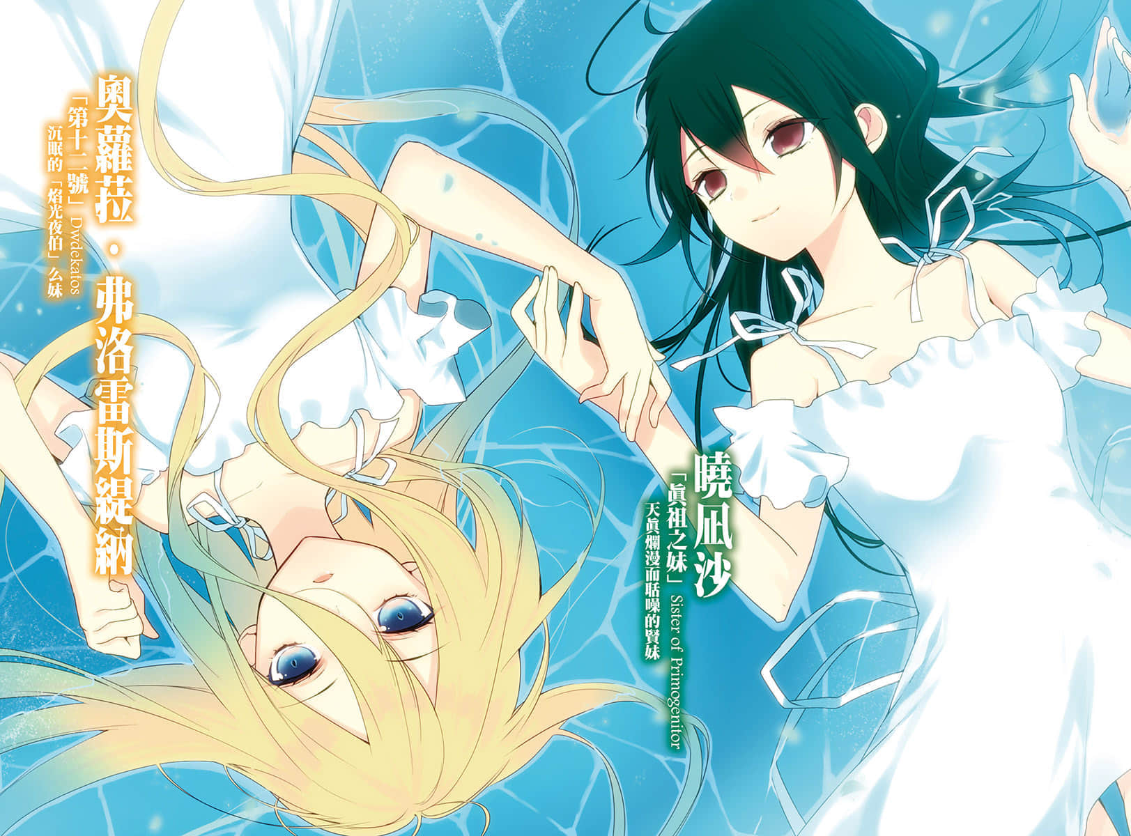 《噬血狂襲 Strike the Blood》15 真祖大戰 插圖（5）