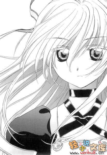 壮丽的黎明小说插图（2）
