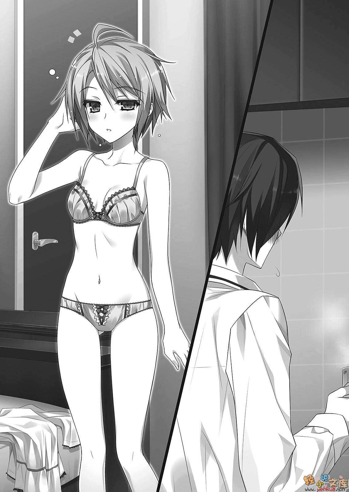 《银之十字架与吸血姬》4 插图（11）