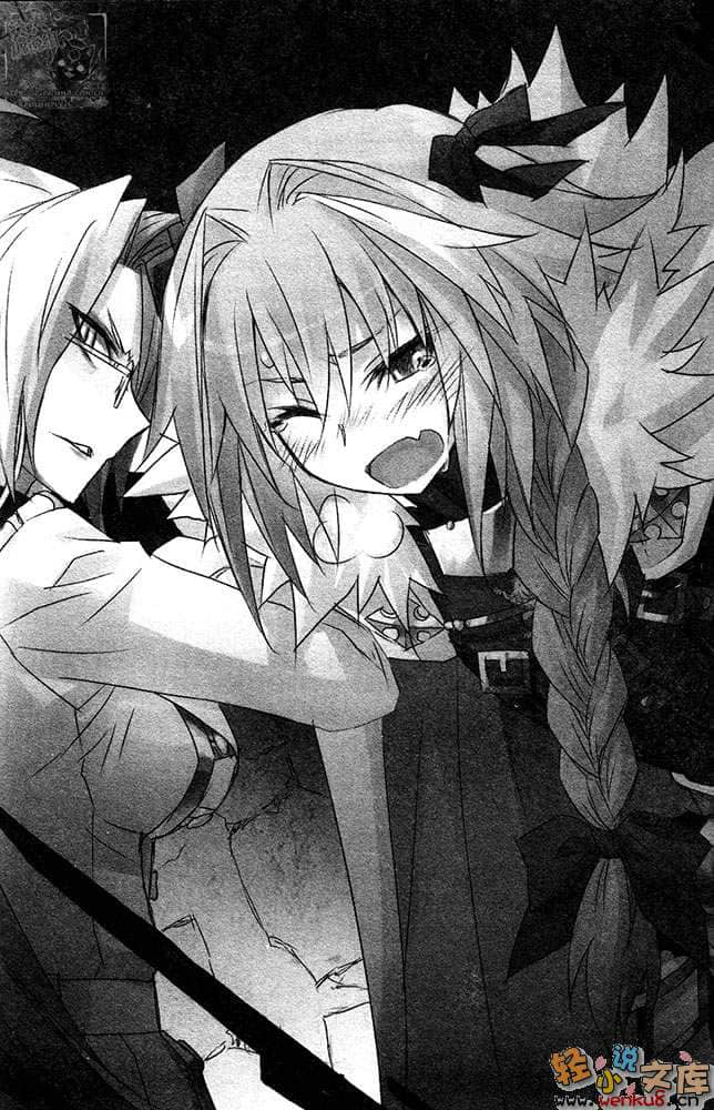 Fate Apocrypha小说插图（40）