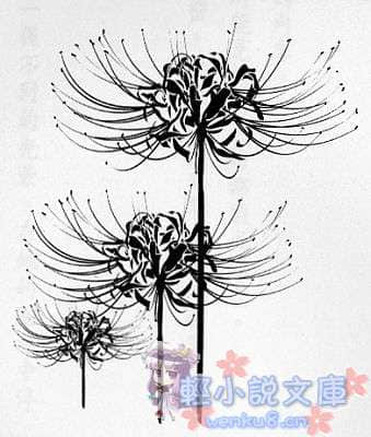 《地狱少女》彼岸花 插图（12）