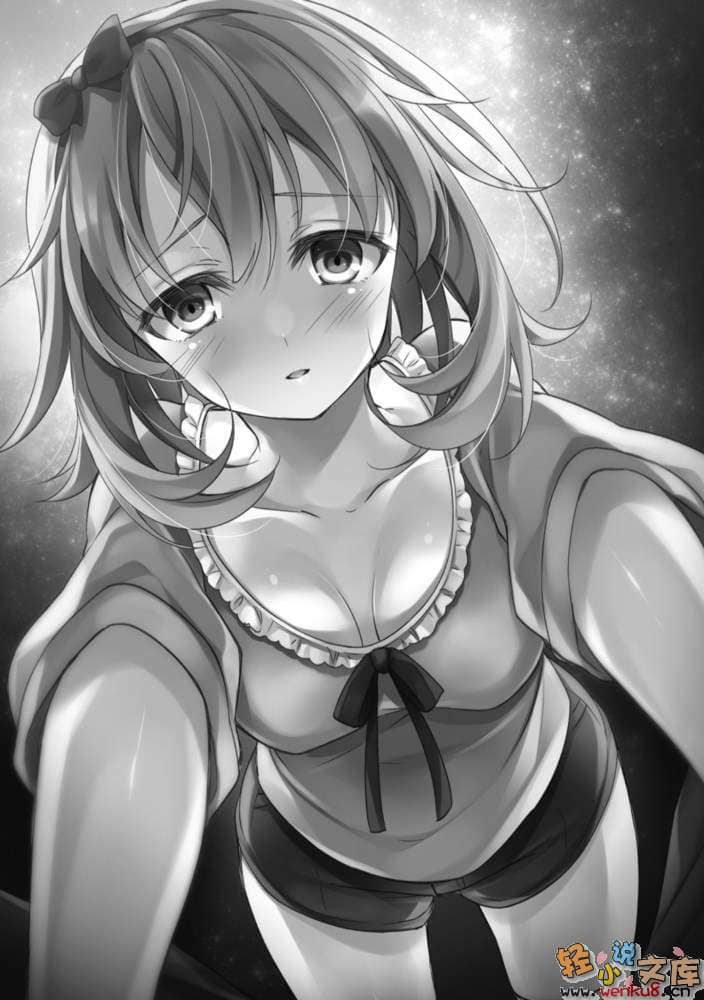 名侦探X不良X现充X痴女X决斗者小说插图（11）