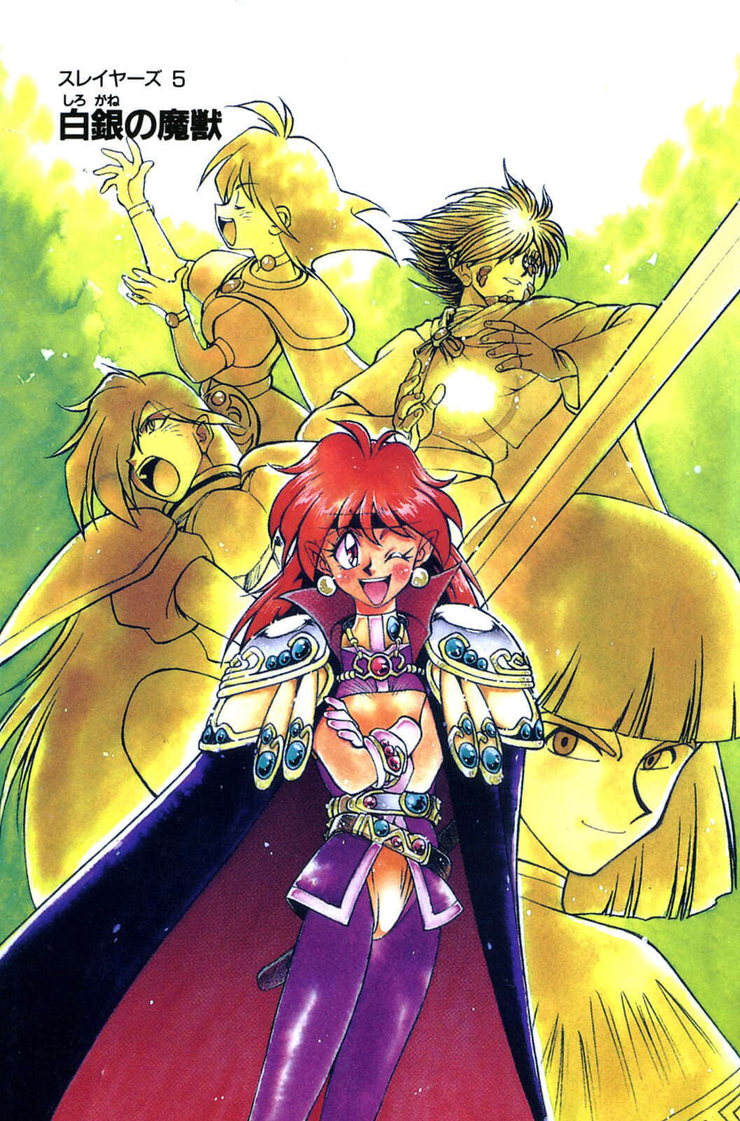 《Slayers！秀逗魔法士》5 白银的魔兽 插图（2）