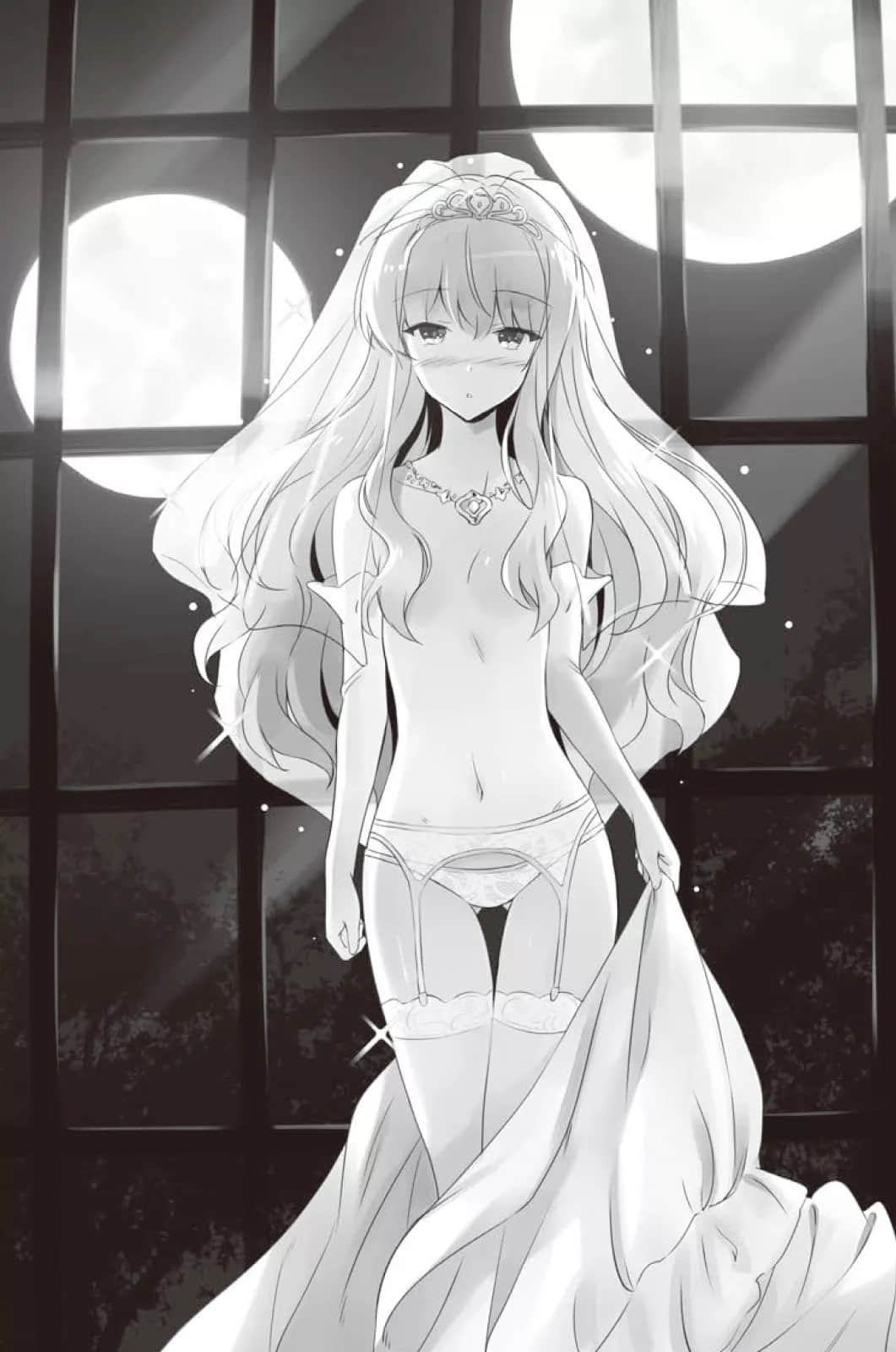 零之使魔小说插图（313）