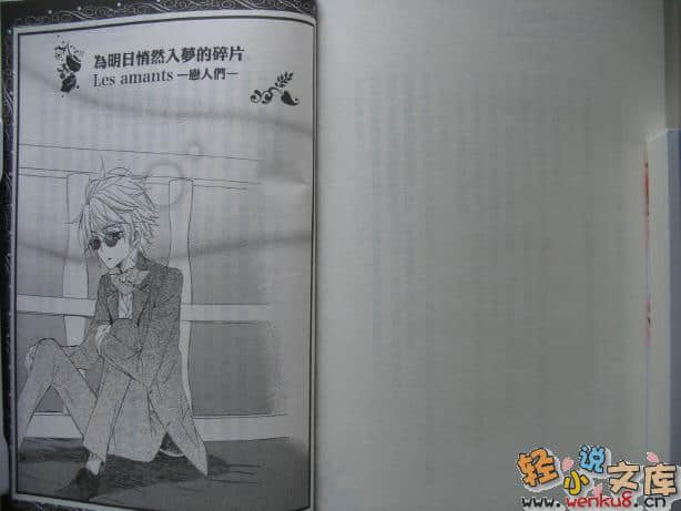 王宫罗曼史革命小说插图（36）