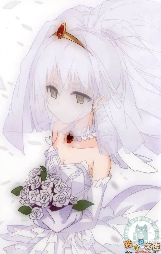 伪恶之王小说插图（24）