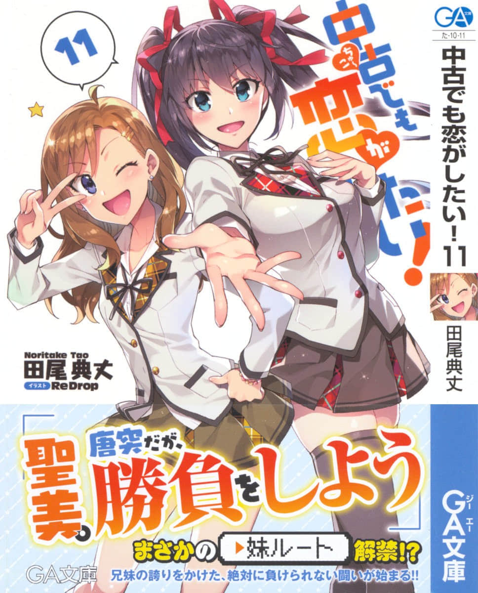 中古貨也想談戀愛！小說插圖（166）
