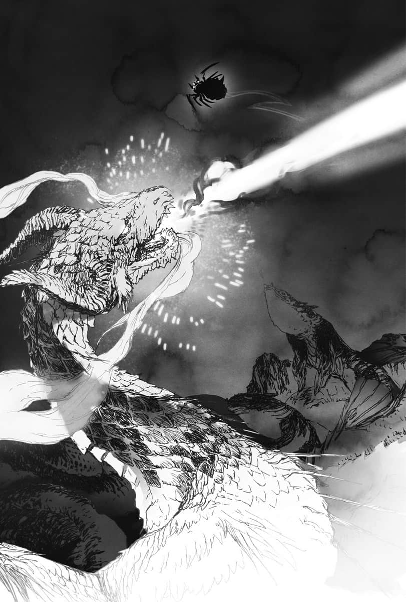 《转生成蜘蛛又怎样！》2 9 炎海之主插图（1）