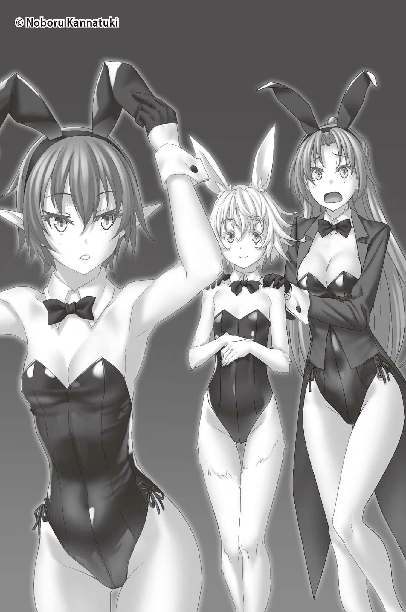 《哥布林杀手》15 间章「小心友人0;Contact1;」插图(1)