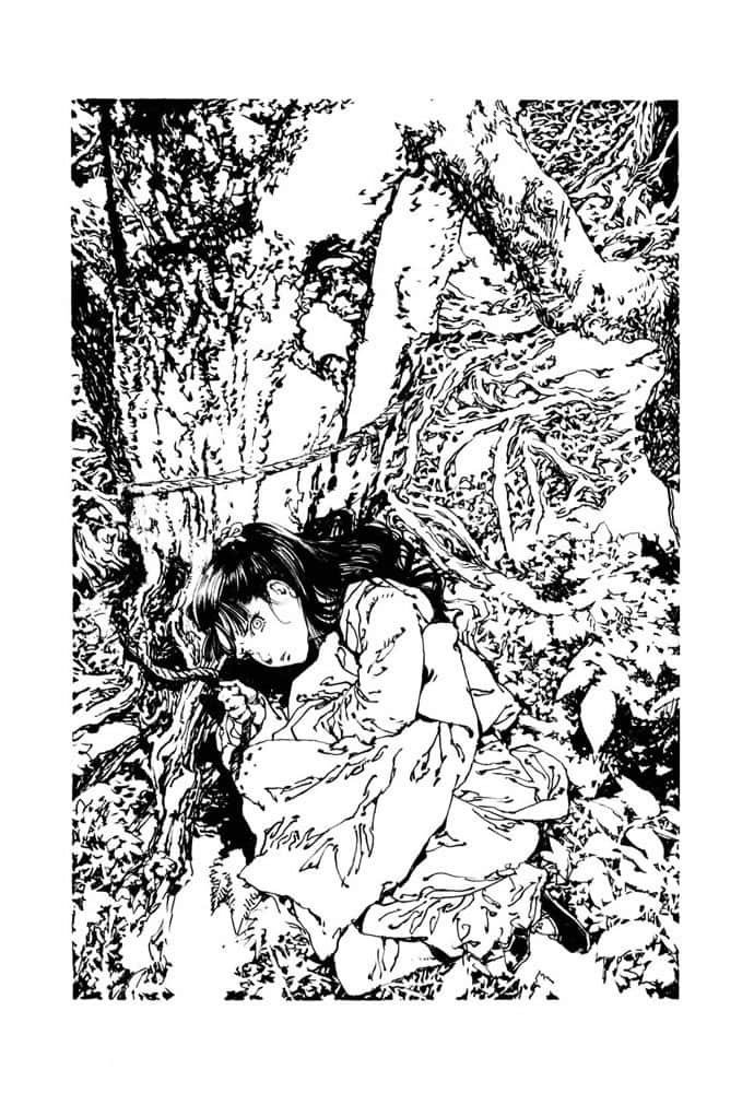 《十二国记》5 图南之翼 插图（6）