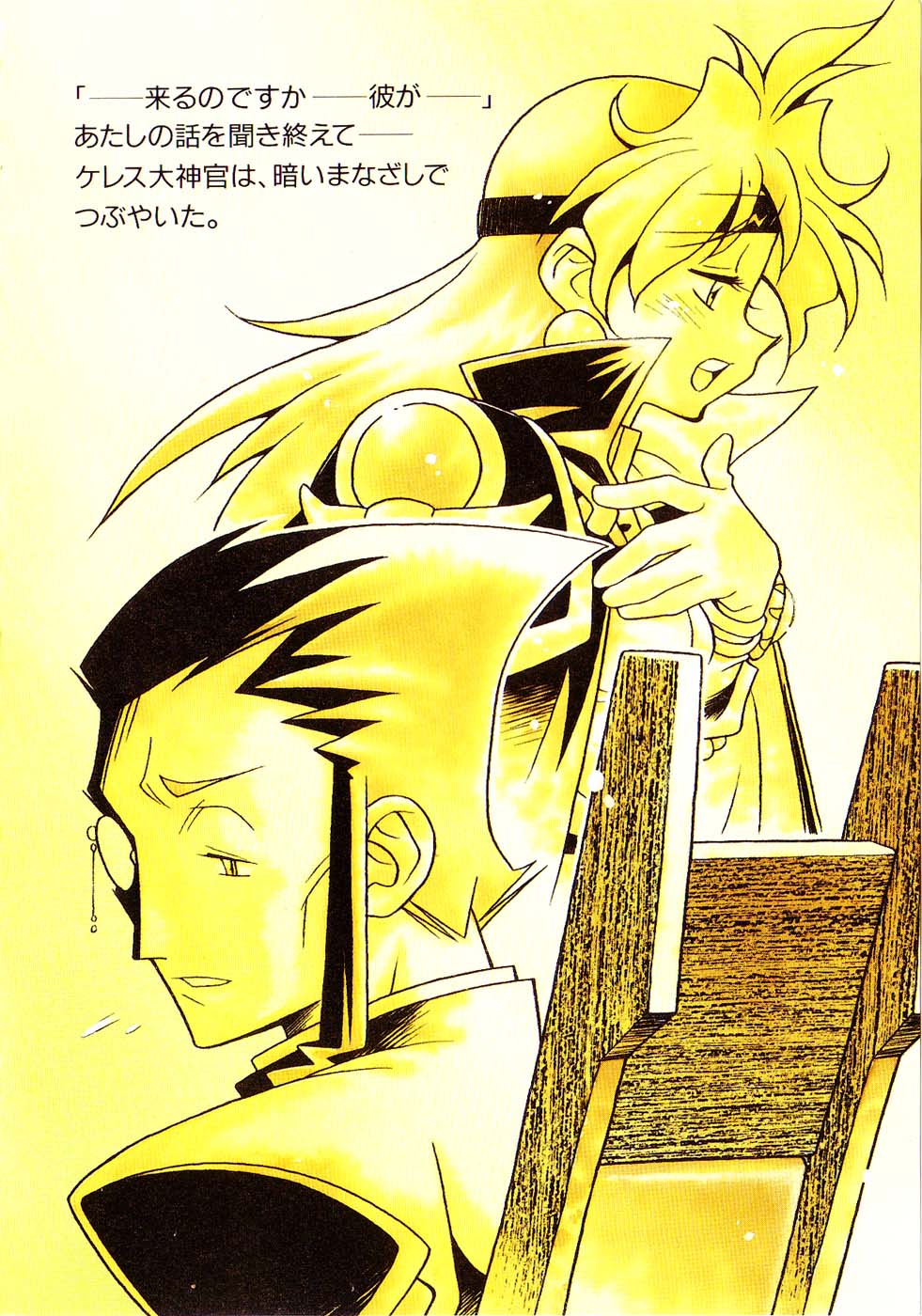 《Slayers！秀逗魔法士》14 瑟伦迪亚的憎恶 插图（5）