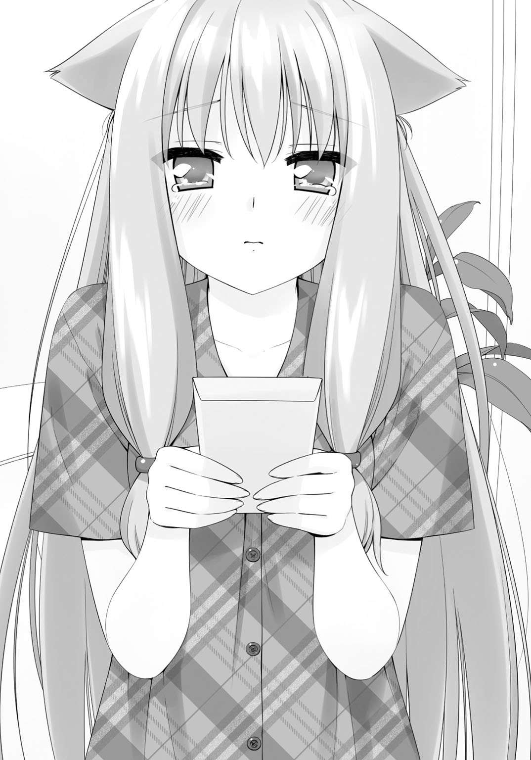 《娇蛮猫娘大横行!》8 I'll let you adopt me! 第二章 各自的觉悟插图(1)