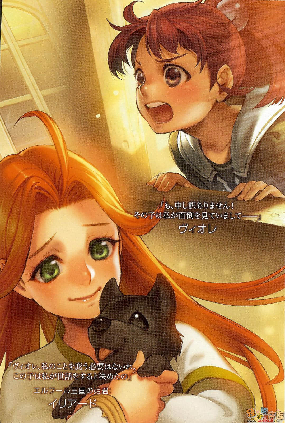 《轮环的魔导师》3 龙骨迷宫与黑狼公主 插图（4）