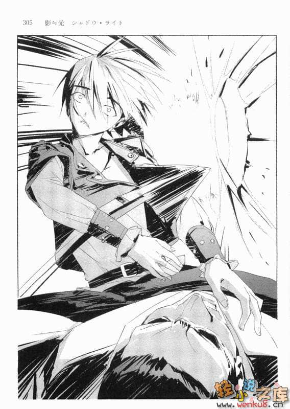 影≒光 Shadow Light小说插图（18）