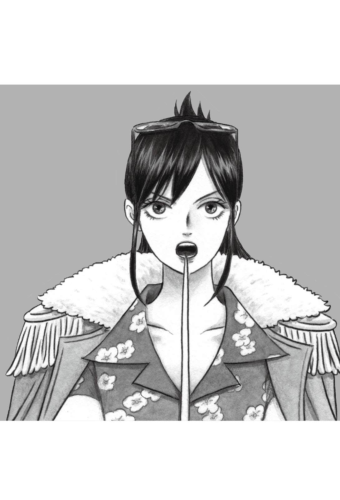 《ONE PIECE novel HEROINES 航海王 女英雄们的故事》2 Colorful 插图（15）