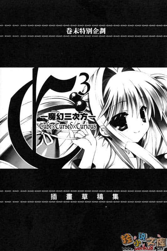 《C3魔幻三次方》6 插图（18）