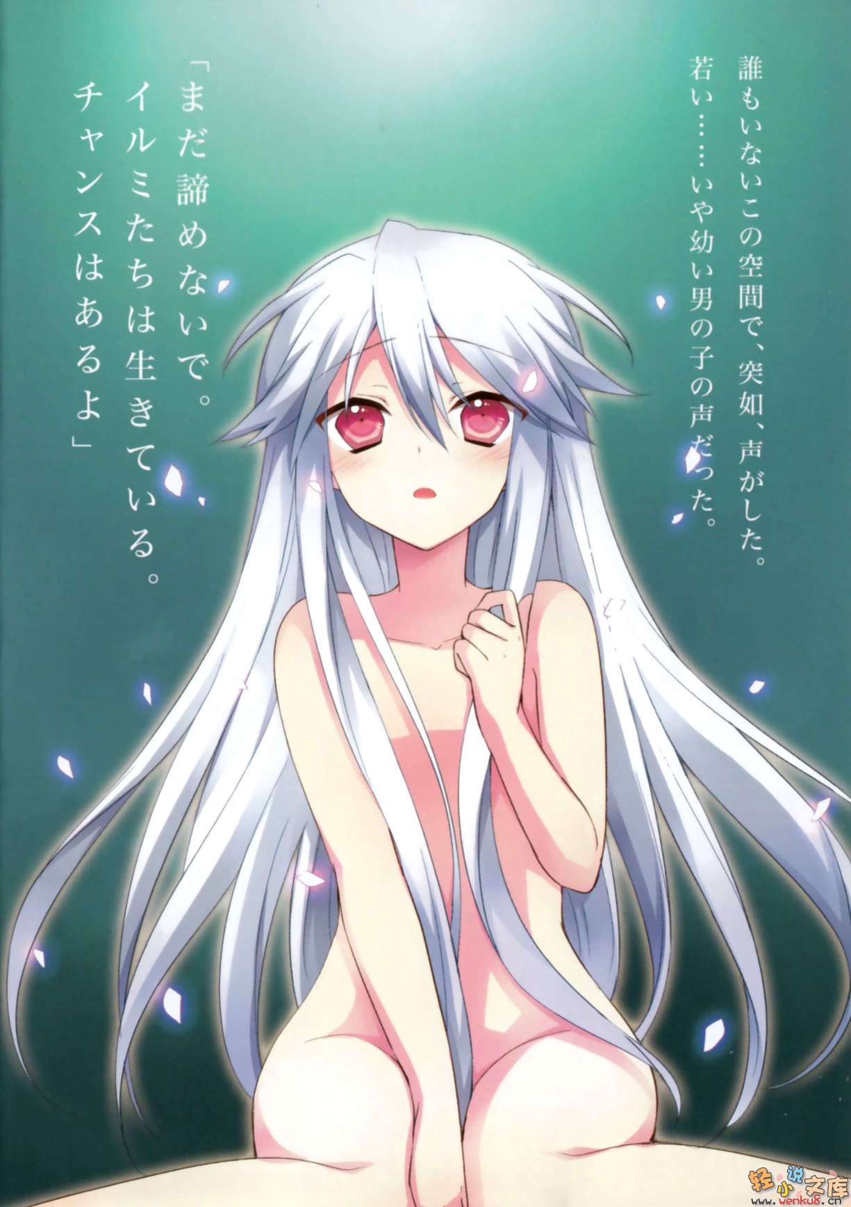 《白银龙王的摇篮》6 插图（4）
