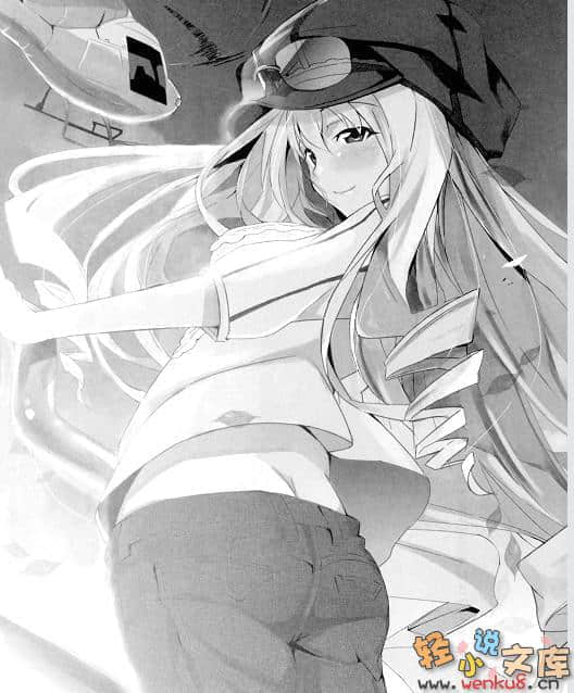 《IS》BD3特典 插图（3）