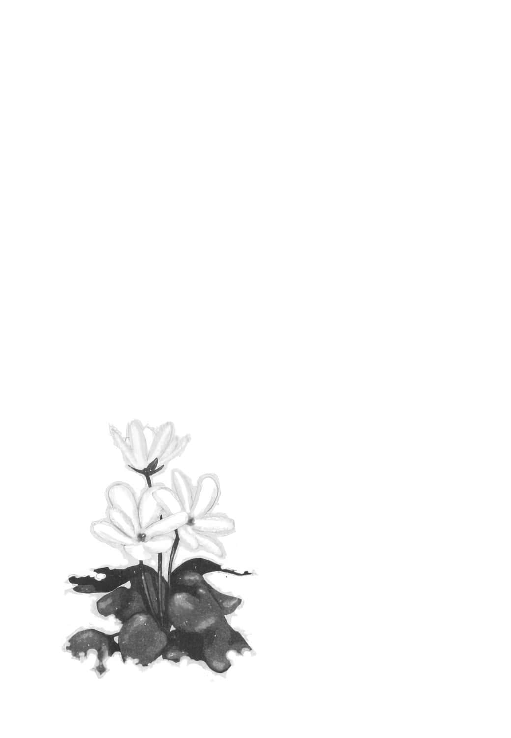 《奇诺之旅》7 插图(15)