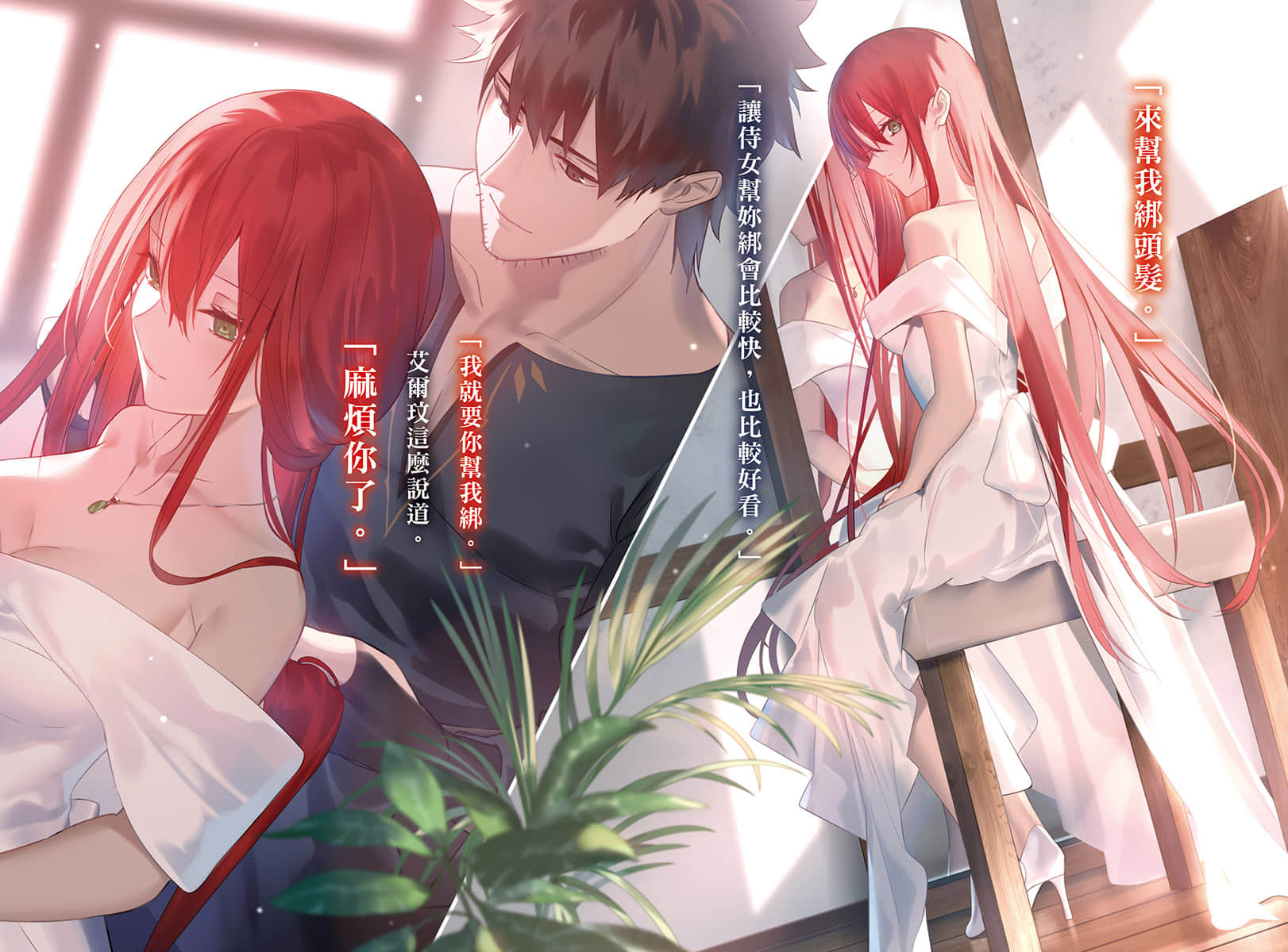 《公主骑士的小白脸》5 插图（3）