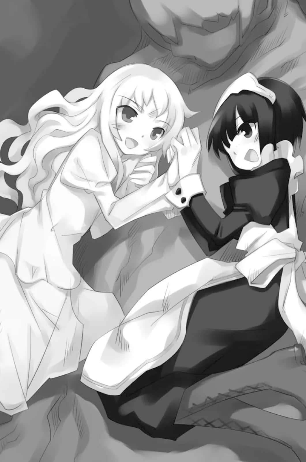 零之使魔小说插图（97）