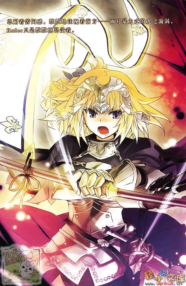 Fate Apocrypha小说插图（39）