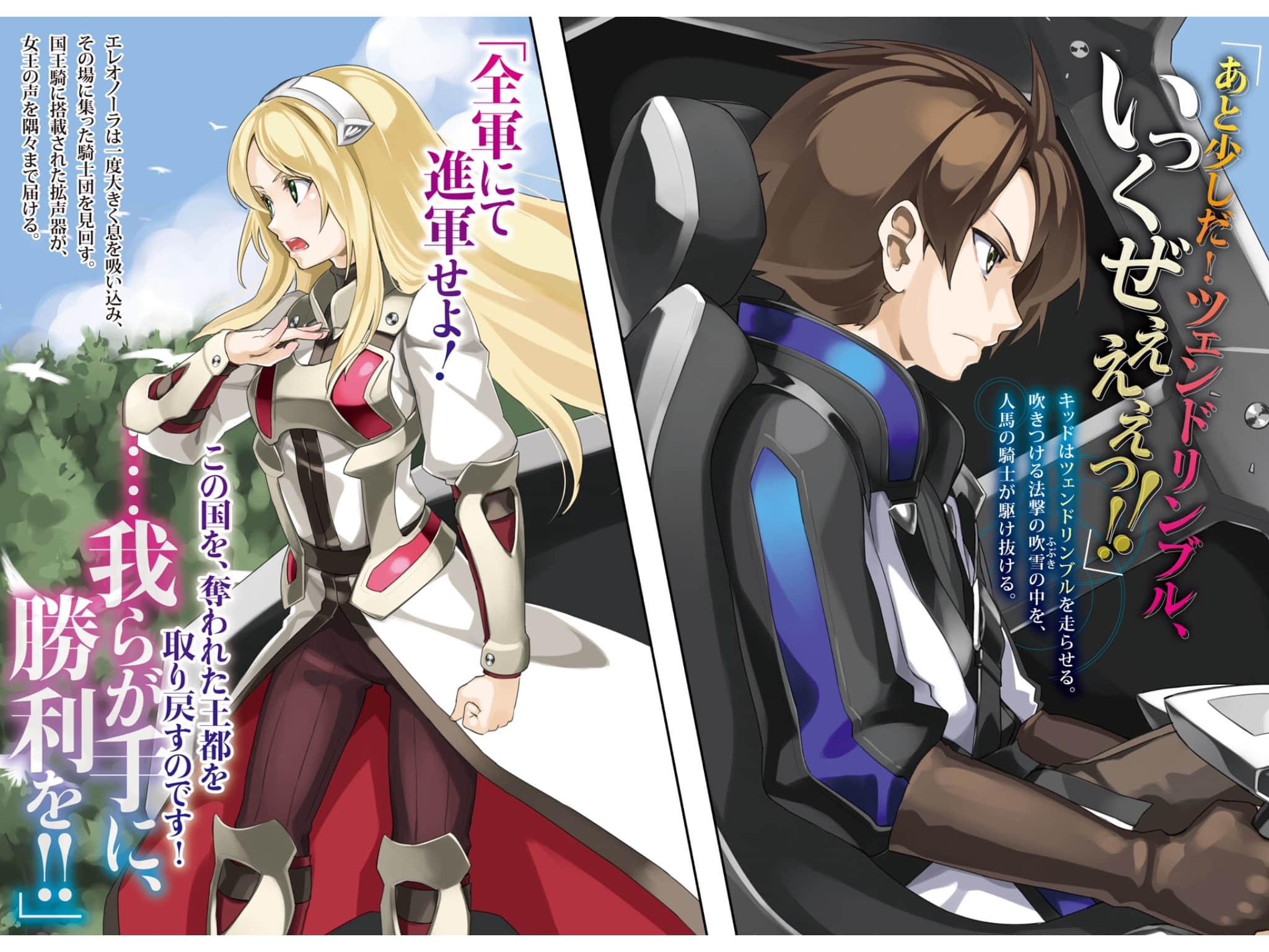 《骑士＆魔法》5 插图（4）