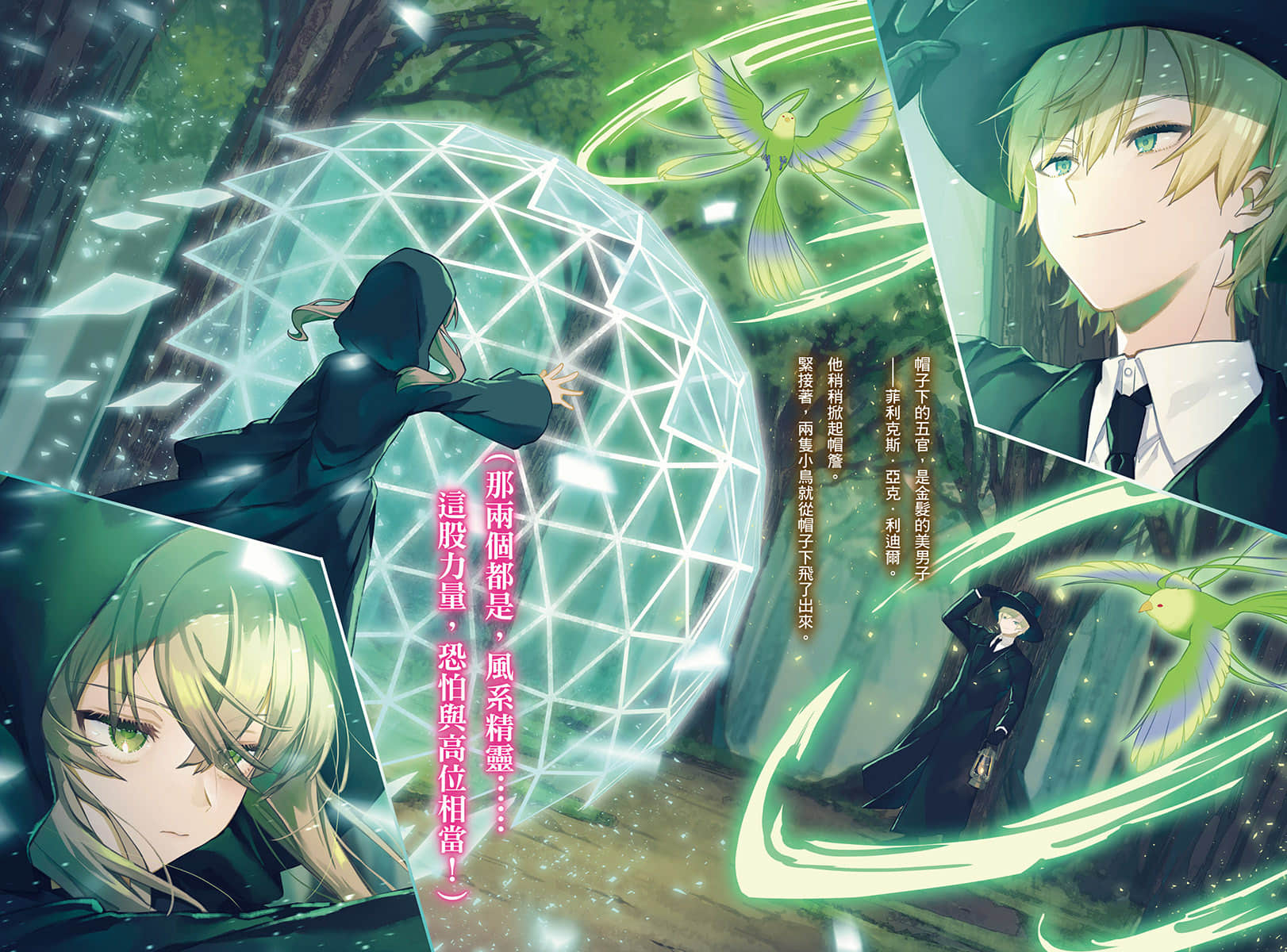 《Silent Witch 沉默魔女的秘密》8 插图(3)