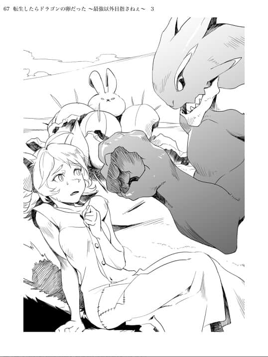 转生龙蛋 ～目标只有最强小说插图（42）