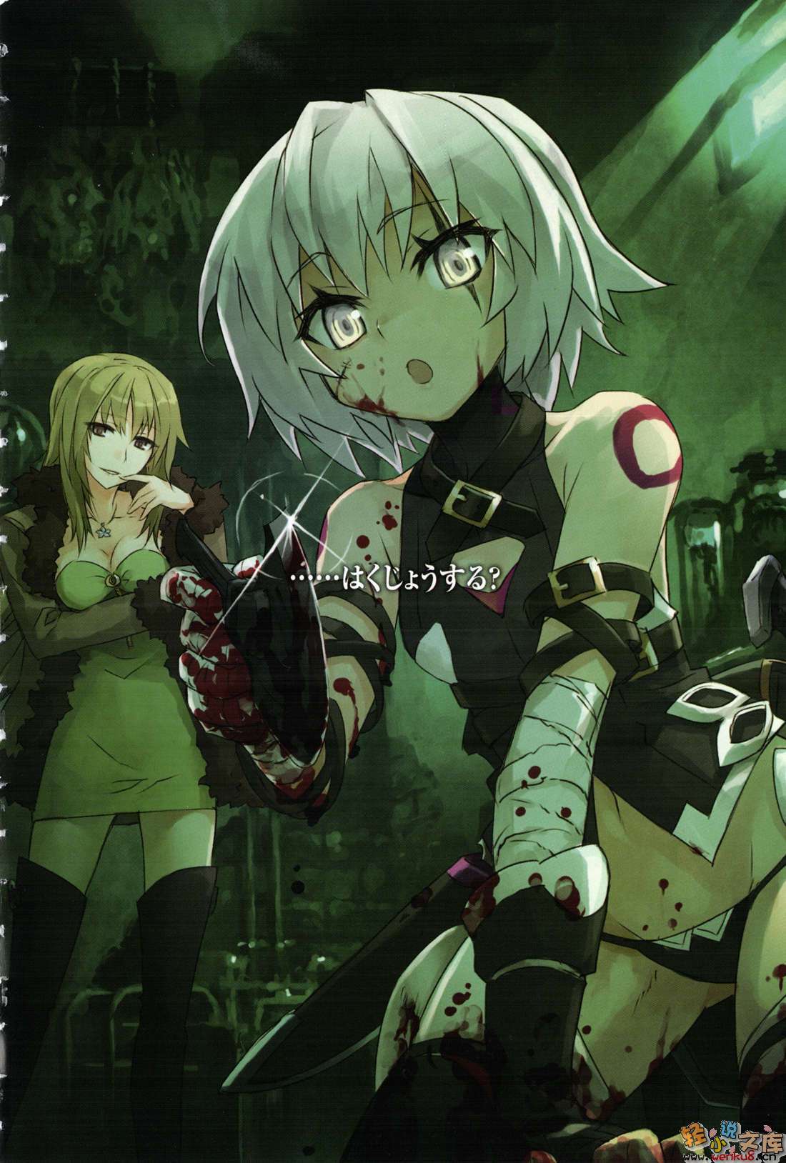 Fate Apocrypha小说插图（64）