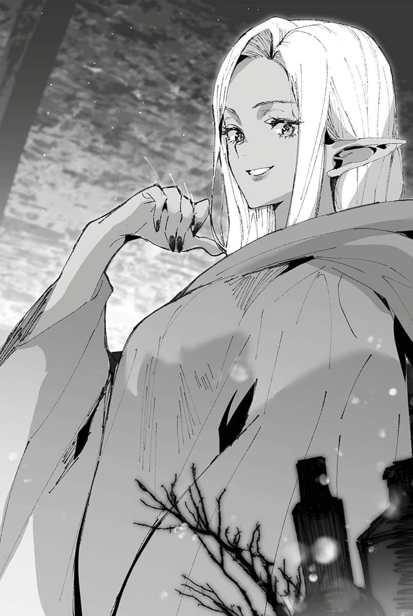 《身为女性向游戏的女主角挑战最强生存剧》Ⅱ 第一部 流浪篇 杀戮的灰姑娘 插图（11）