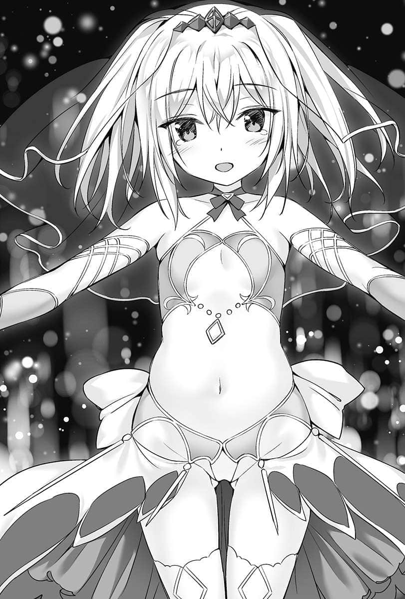 《靠神兽们成为世界最强吧》5 插图（10）